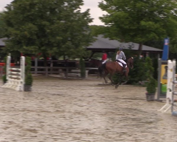 Reitturnier Münster-Roxel 2019