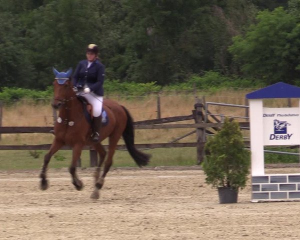 Reitturnier Hemer-Oese an der Edelburg 2019