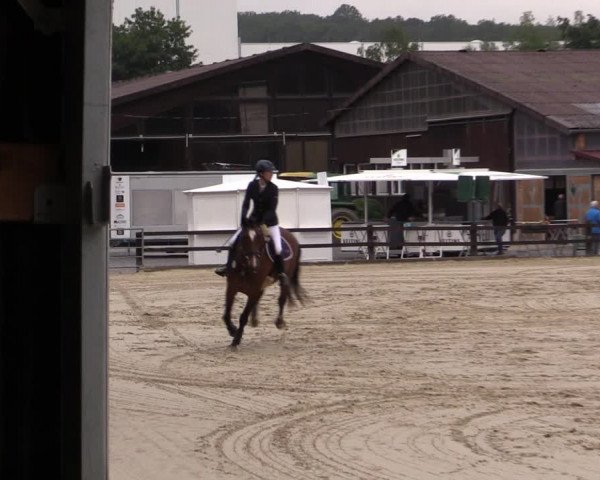 Reitturnier Hemer-Oese an der Edelburg 2019