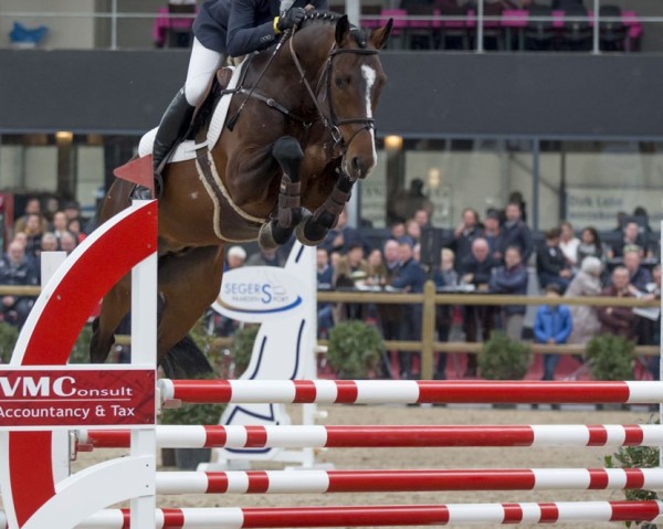 stallion Chapeau TN (Holsteiner, 2012, from Clearway)