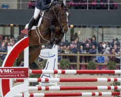 stallion Chapeau TN (Holsteiner, 2012, from Clearway)
