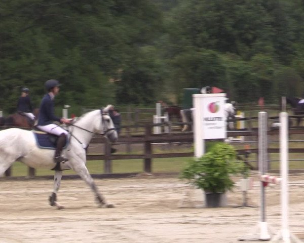 Reitturnier Hemer-Oese an der Edelburg 2019