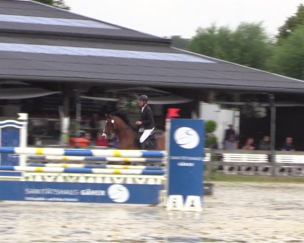 Reitturnier Münster-Roxel 2019