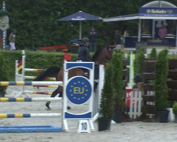 Reitturnier Vlotho-Exter 2019
