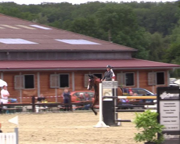 Reitturnier Hemer-Oese an der Edelburg 2019