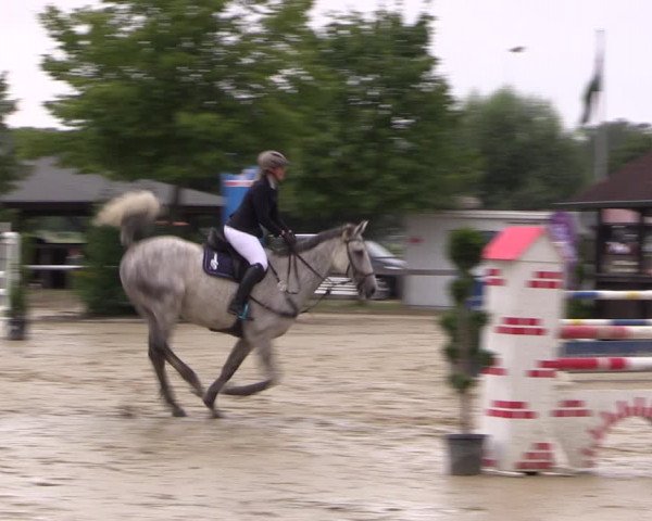 Reitturnier Münster-Roxel 2019