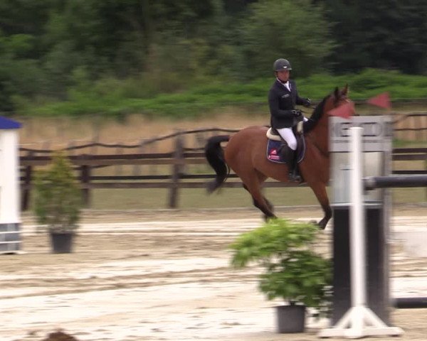 Reitturnier Hemer-Oese an der Edelburg 2019