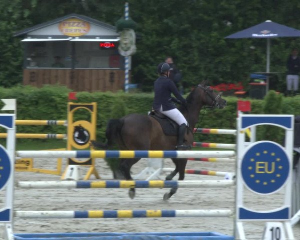 Reitturnier Vlotho-Exter 2019