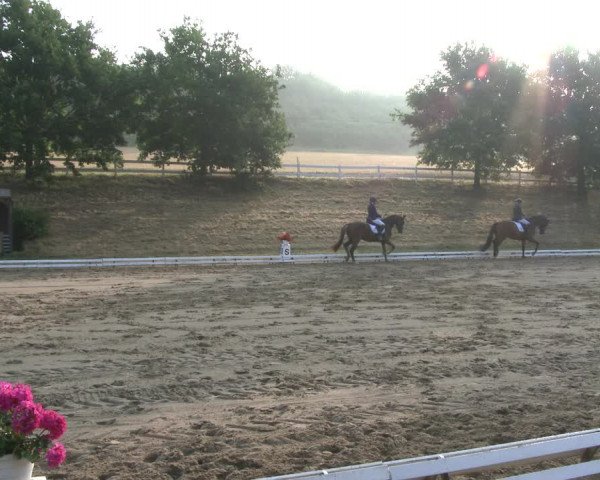 Reitturnier Vlotho-Exter 2019