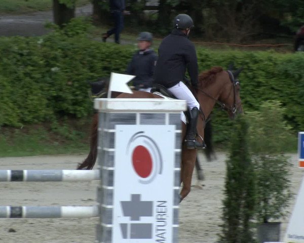 Reitturnier Vlotho-Exter 2019