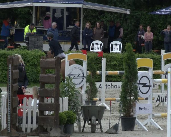 Reitturnier Vlotho-Exter 2019