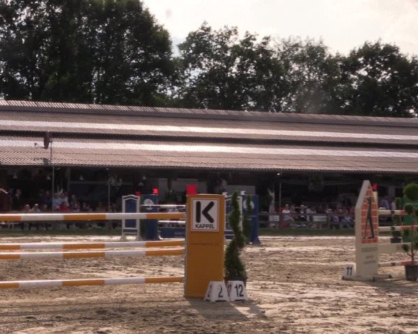 Reitturnier Münster-Roxel 2019