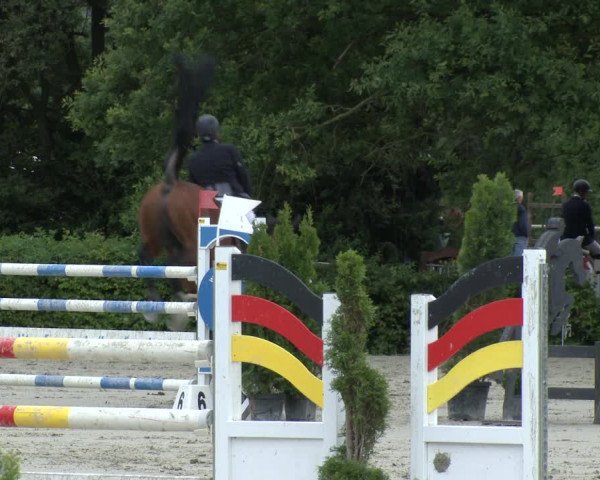 Reitturnier Vlotho-Exter 2019