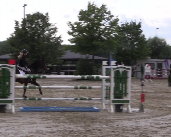 Reitturnier Münster-Roxel 2019