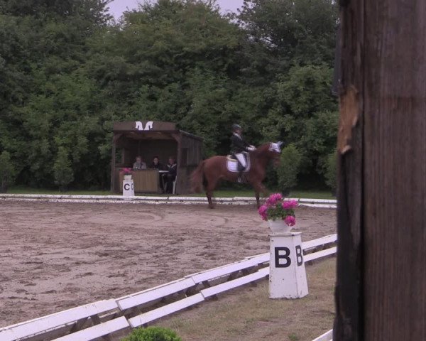 Reitturnier Vlotho-Exter 2019