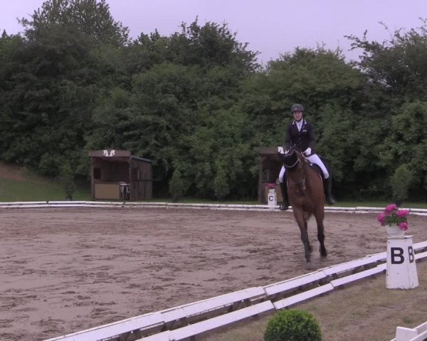 Reitturnier Vlotho-Exter 2019