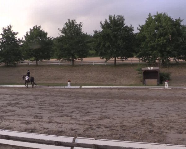 Reitturnier Vlotho-Exter 2019