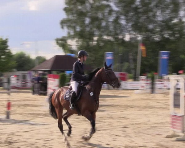 Reitturnier Münster-Roxel 2019