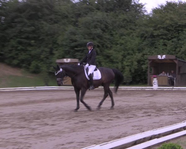 Reitturnier Vlotho-Exter 2019