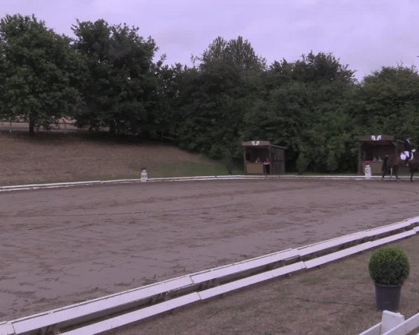 Reitturnier Vlotho-Exter 2019