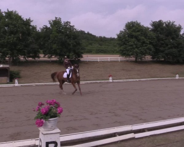 Reitturnier Vlotho-Exter 2019