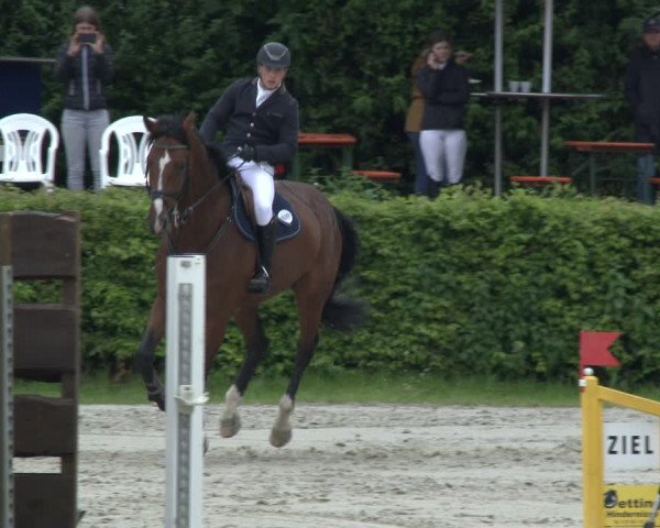Reitturnier Vlotho-Exter 2019