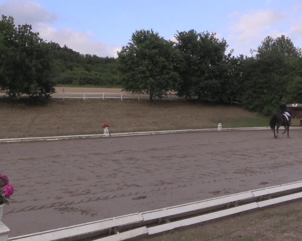 Reitturnier Vlotho-Exter 2019