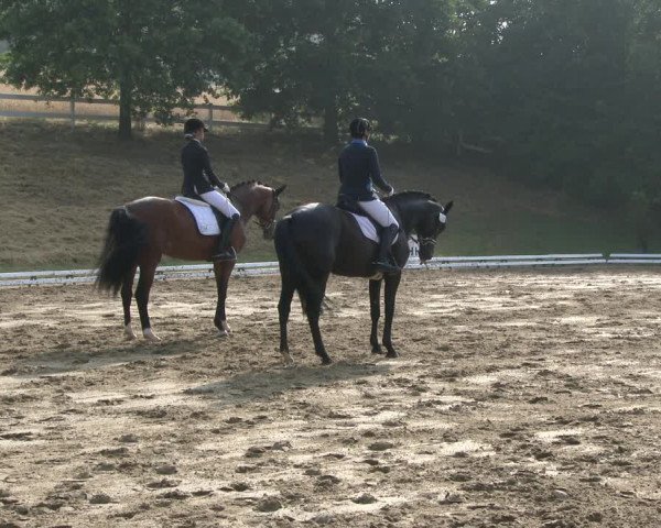 Reitturnier Vlotho-Exter 2019