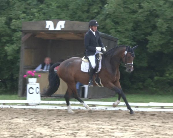 Reitturnier Vlotho-Exter 2019