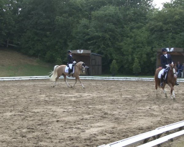 Reitturnier Vlotho-Exter 2019