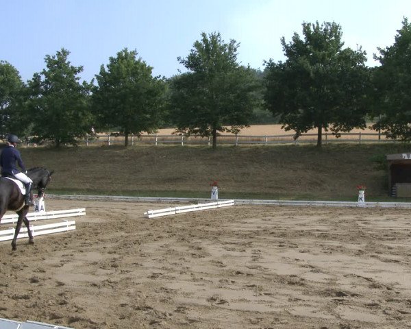 Reitturnier Vlotho-Exter 2019