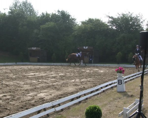 Reitturnier Vlotho-Exter 2019