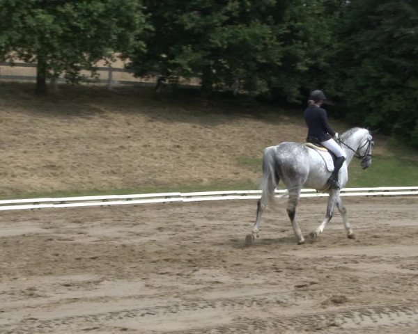 Reitturnier Vlotho-Exter 2019