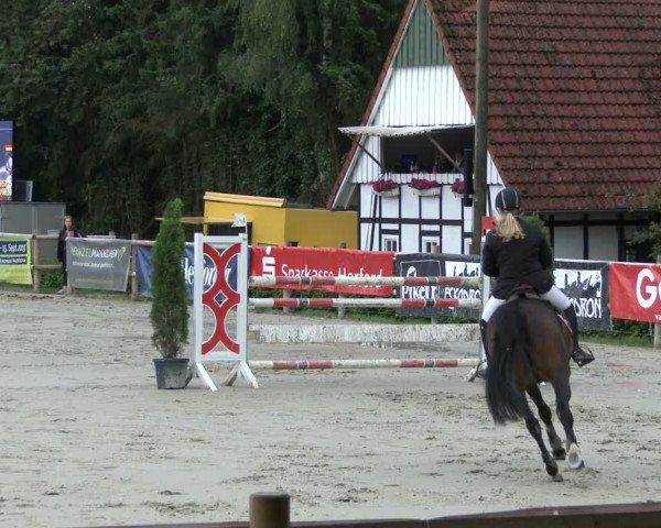 Reitturnier Vlotho-Exter 2019