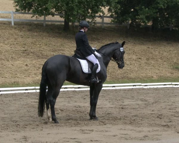 Reitturnier Vlotho-Exter 2019