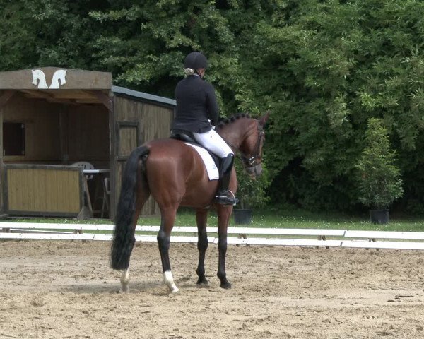 Reitturnier Vlotho-Exter 2019