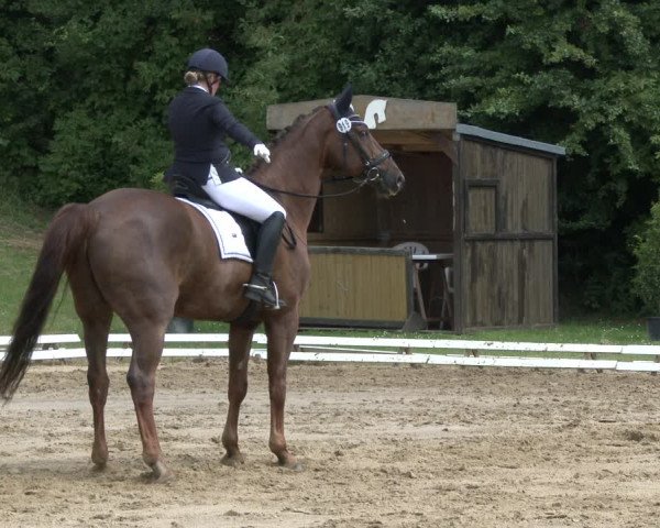 Reitturnier Vlotho-Exter 2019