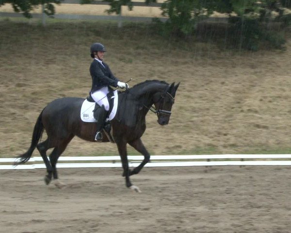 Reitturnier Vlotho-Exter 2019