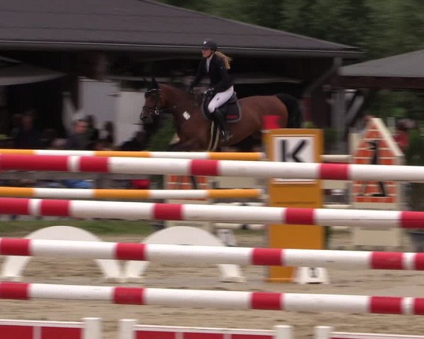 Reitturnier Münster-Roxel 2019