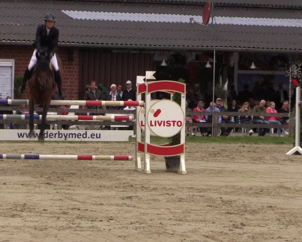 Reitturnier Münster-Roxel 2019