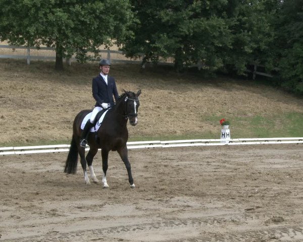 Reitturnier Vlotho-Exter 2019