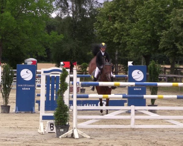 Reitturnier Münster-Roxel 2019