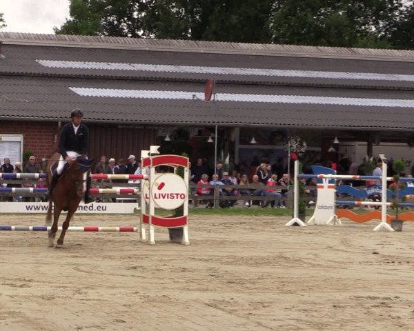 Reitturnier Münster-Roxel 2019