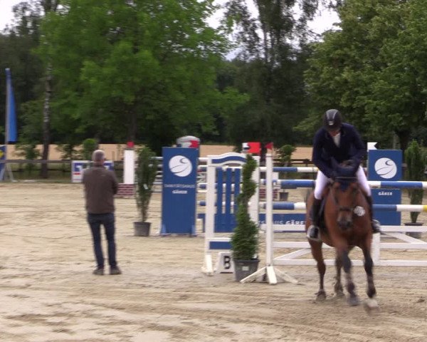 Reitturnier Münster-Roxel 2019
