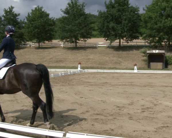 Reitturnier Vlotho-Exter 2019