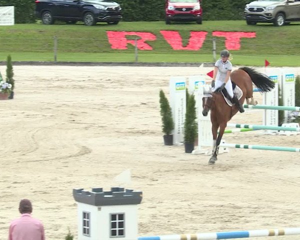 Reitturnier Turbenthal 2019