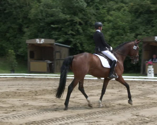 Reitturnier Vlotho-Exter 2019