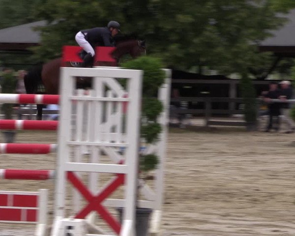 Reitturnier Münster-Roxel 2019