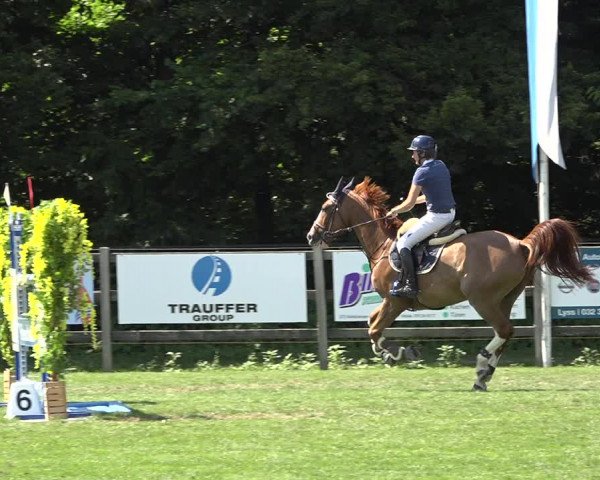 Reitturnier Kappelen-Lyss 2019