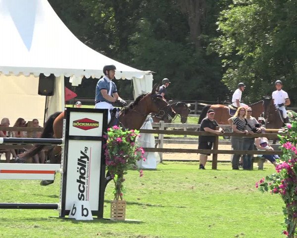 Reitturnier Kappelen-Lyss 2019